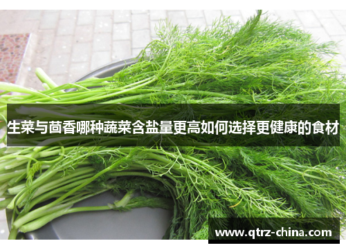 生菜与茴香哪种蔬菜含盐量更高如何选择更健康的食材