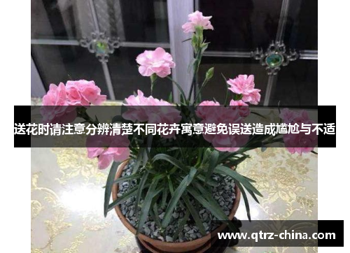 送花时请注意分辨清楚不同花卉寓意避免误送造成尴尬与不适