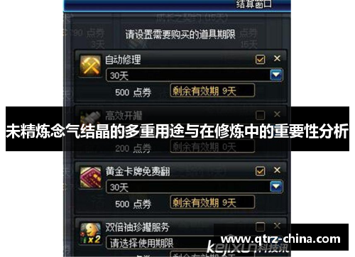 未精炼念气结晶的多重用途与在修炼中的重要性分析